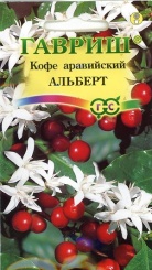  Кофе Альберт аравайский карликовый 5шт 