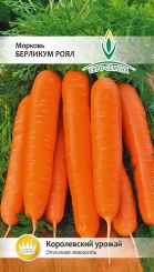  Морковь Берликум Роял 