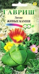  Литопс Живые камни 5шт 