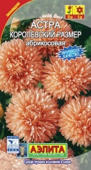  Астра Королевский размер Абрикос 