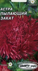  Астра Пылающий закат Парт №50.84.02