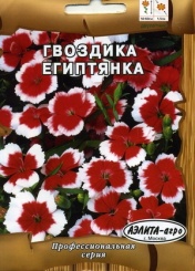  Гвоздика Египтянка тур. 