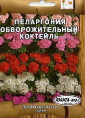  Пеларгония Обворожительный коктейль 