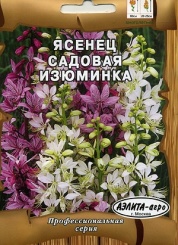  Ясенец Садовая изюминка Парт №257.01.01 