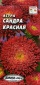  Астра Сандра красная